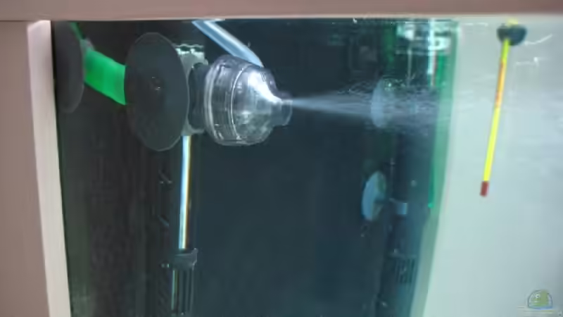 Eheim Power Diffusor von Meike_R (27)