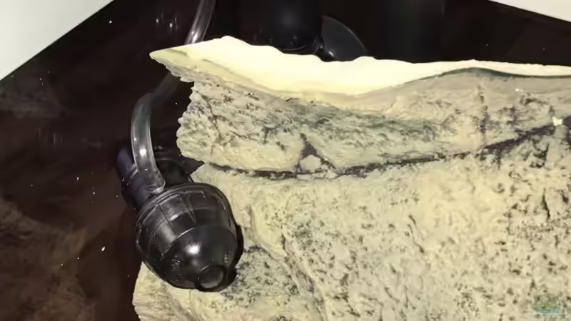 Eheim Power Diffusor von Veljev (4)