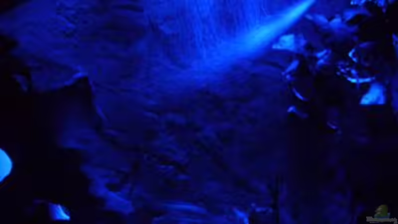 eheim Powerdiffusor  vom Fluval 404 von Lars Schnabel (19)