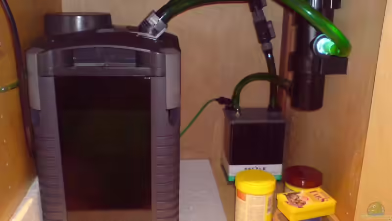 Eheim Pro 2 Das Friechwasser strömt erst durch einen 9Watt UVC Wasserklärer danach von Pflanzenmaster (4)