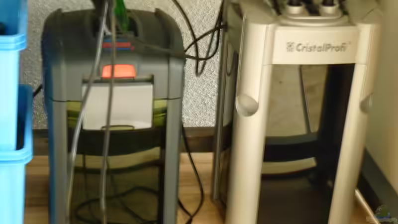 Eheim Pro 3   JBL 1500 von H.K-Mika (18)
