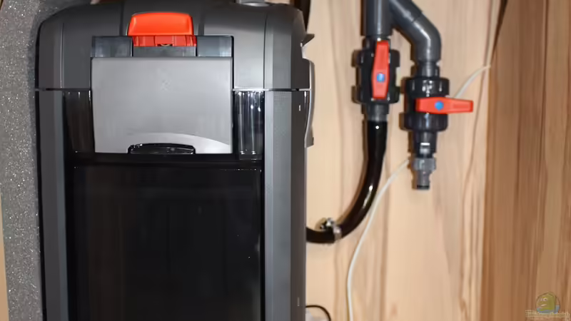 Eheim pro 4+ 350T mit Gardena Bypass für Wasserwechsel von Wabi (13)