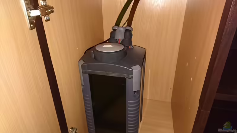 Eheim Pro2 2028 von Wolly (28)