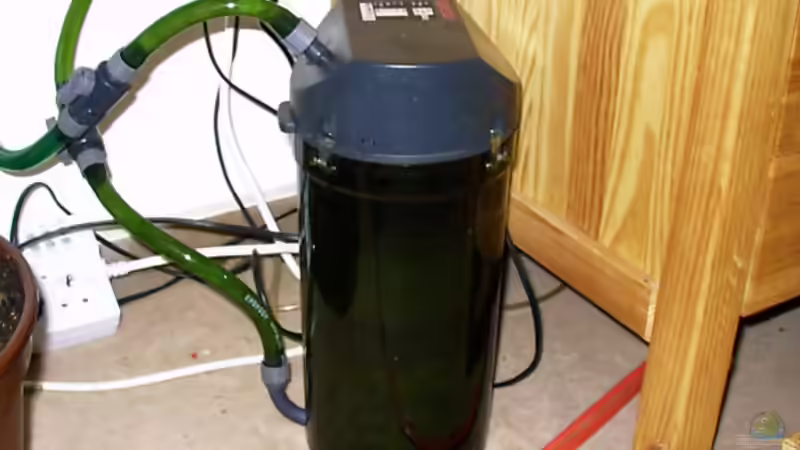 Eheim Prof. 3 - 2080  von mbuna-guwo (7)