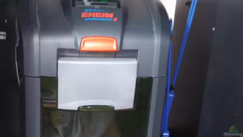 Eheim Prof. 3 2073 von Wall-E (28)