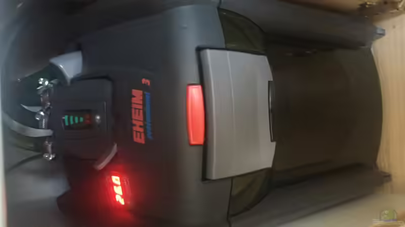 Eheim Prof. 3 thermofilter  von Marcus Lucke (20)