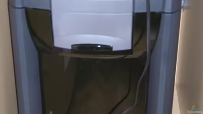 Eheim Prof. 3 von Robert Ellinger (17)