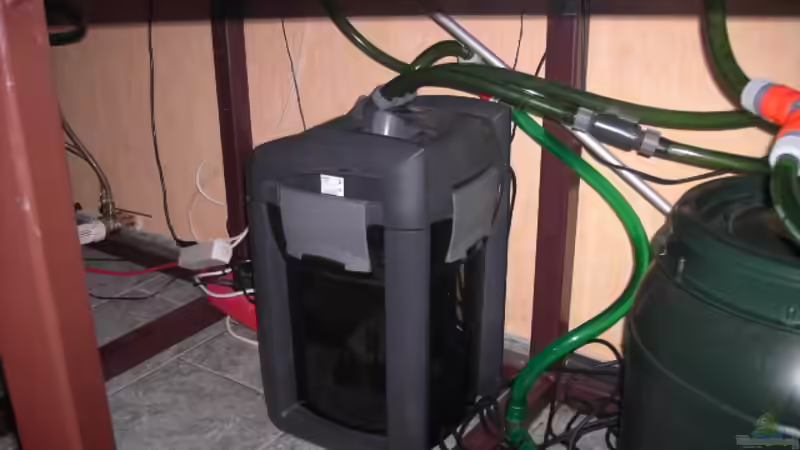 Eheim Prof 3 die 1te von Heiko Schrandt (20)