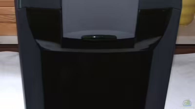 Eheim Prof.3e (2078) von Wels-fan (36)