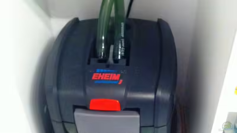 Eheim professional 3 250 von Nastassja&Mario T (17)