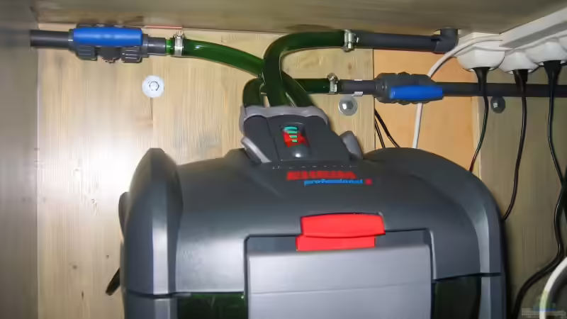 Eheim Professional 3 und Absperrhähne von Hubert Demonty (18)