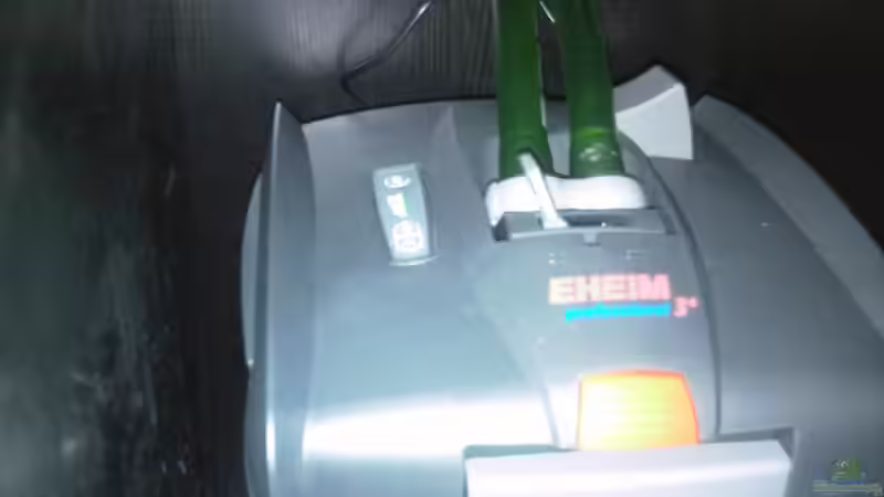 Eheim Professional 3e 2076 von Francesco (11)