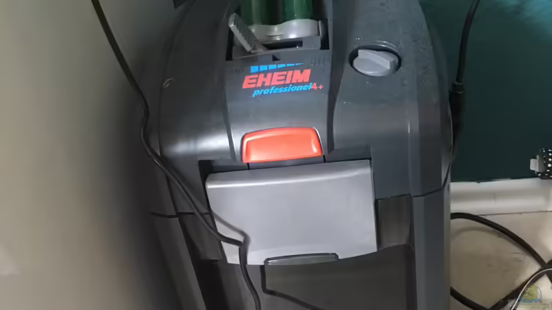 Eheim professional 4+ von Jule (18)