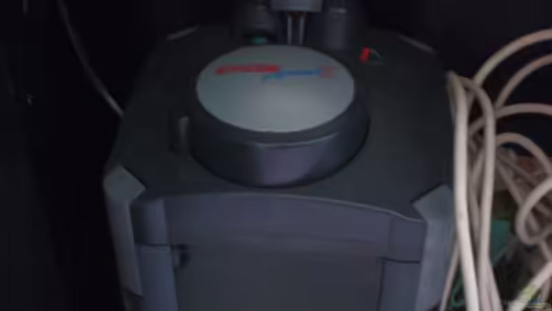 Eheim Professional II von Maria Dicke (19)