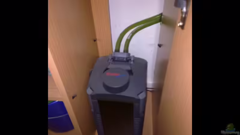 Eheim professionel 2224 von Antonio Di Simone (10)