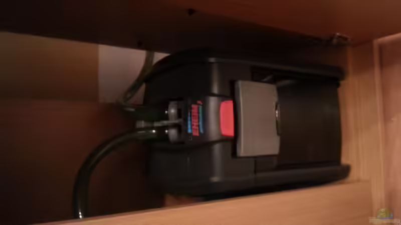 Eheim Professionel 3 250 von Omega (12)