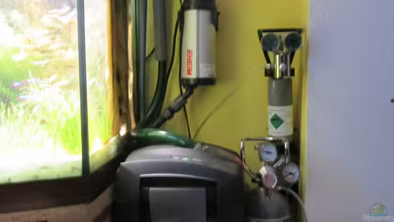 Eheim professionel 3e Aussenpumpe von Rene Zwirchmayr (22)