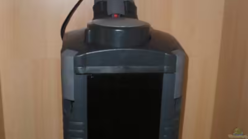 Eheim professionel II von Der Schwabe (8)