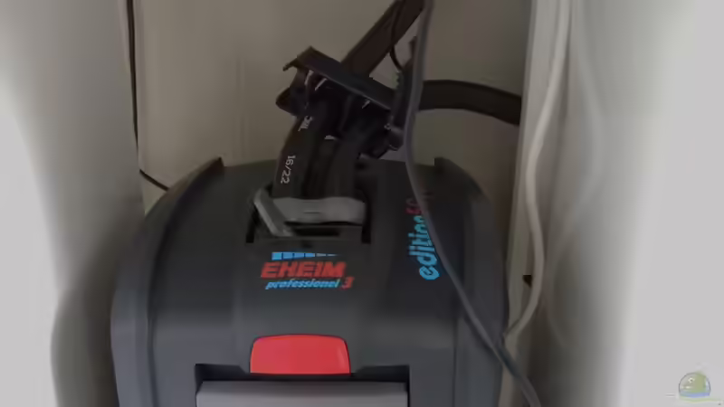 Eheim Professionel III von Patrick Lehmann (7)