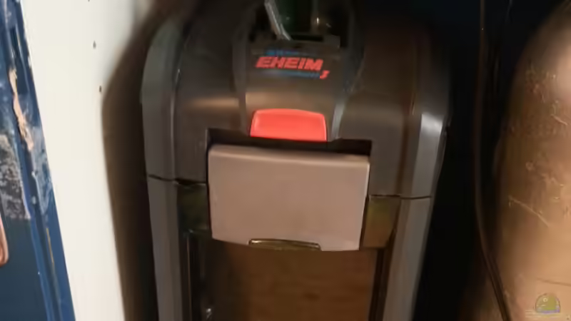 Eheim Professionell 3  von Der Dreiäugige Goldfisch (29)