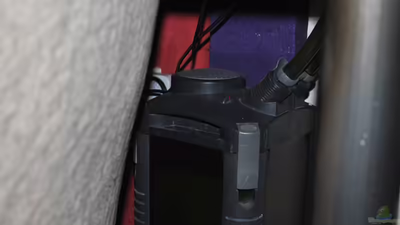 Eheim Professionell II 2028 von Alex S (31)