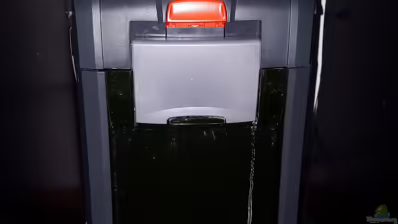 Eheim Proffesional 3 600 von Johannes L. (34)