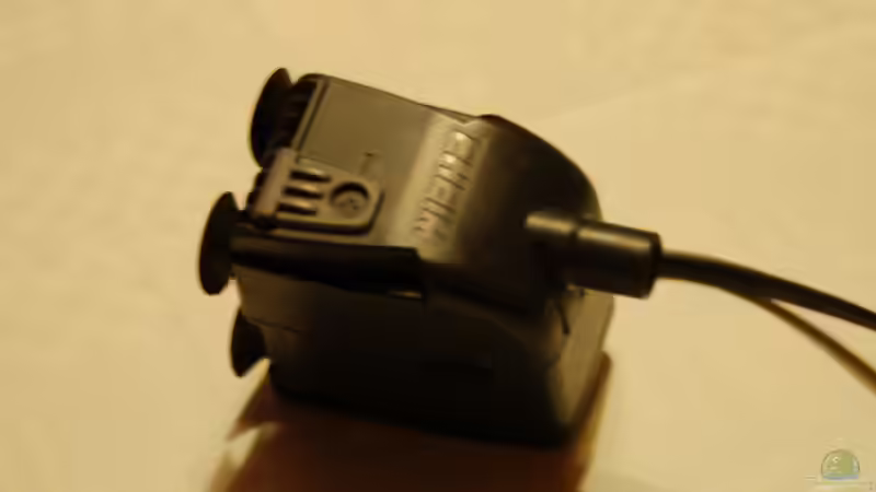 Eheim pumpe als Strömungspumpe hinter der Rückwand von Frank Hopp (50)