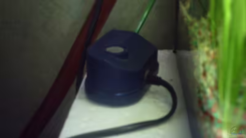 Eheim Pumpe von valla88 (14)