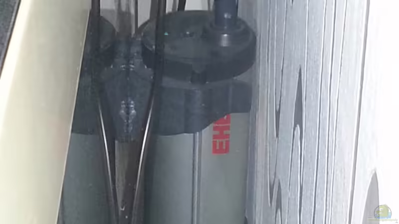Eheim ReeFlexUV 500 9Watt von Sascha Mayr (11)