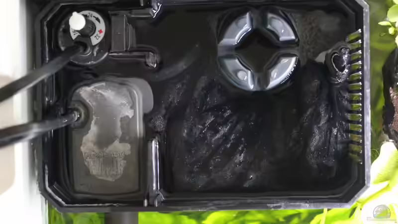 EHEIM Skim 350 in Juwel BioFlow 3.0 von ESA_72 (18)