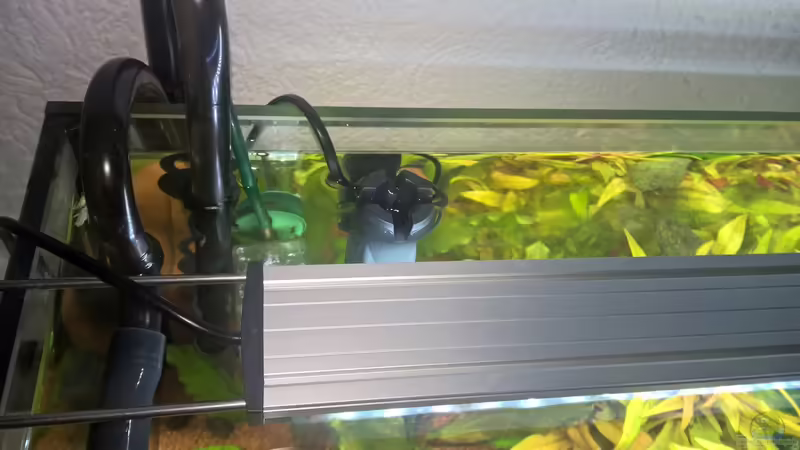 Eheim Skim 350 von DerWiesbadener (6)