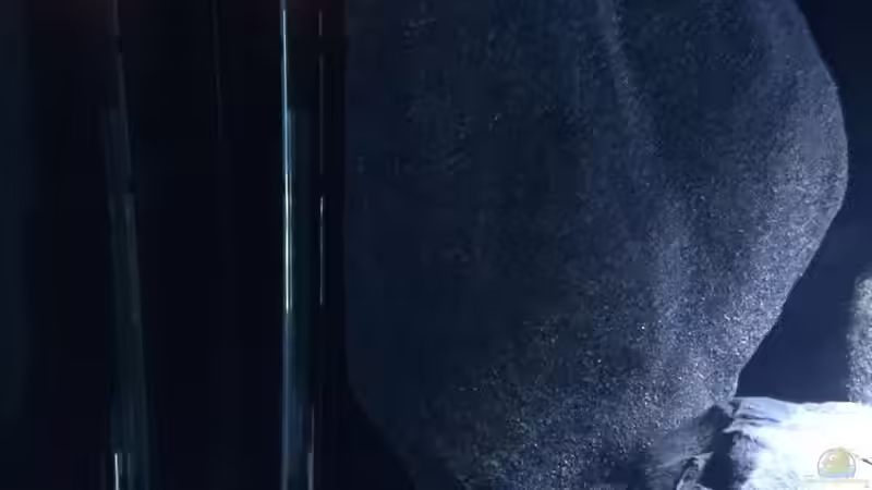 Eheim Thermocontrol 250 Watt + Installationsset 1 (hinter dem Modul versteckt) von Bremerhavener (8)