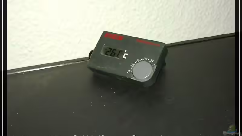 Eheim Thermocontrol von wolf87 (14)