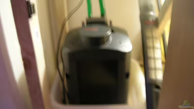 Eheim von Christian Müller (8)