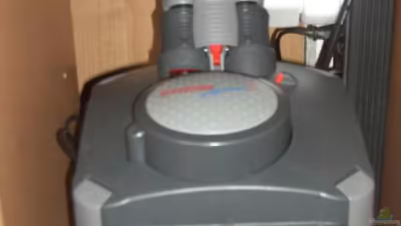 Eheim2028 von Matthias Schmidt (6)