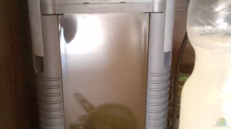 eheim2224 von Mike Schl. (19)