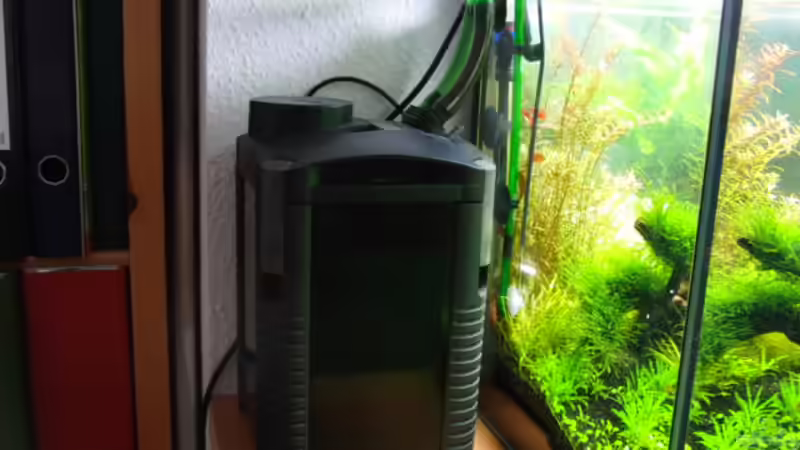 Eheimfilter von Microsash (22)