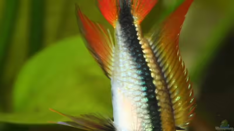 ehemalige Mitbewohner von Wildwuchs (7)