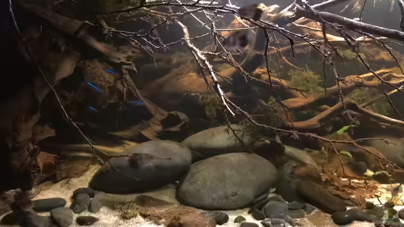 eher links von NaMo (26)