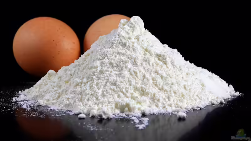 Eierschalen Pulver - Natürliche Calciumquelle in der Terraristik