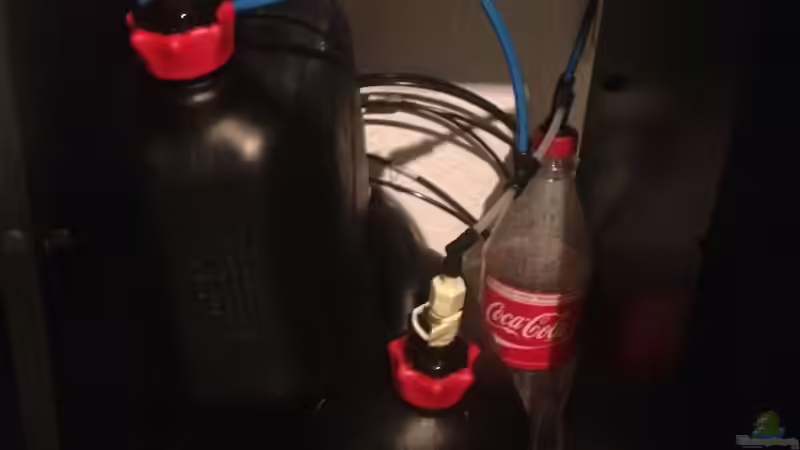 Eigenbau CO² Anlage von Pflanzenbecken (14)