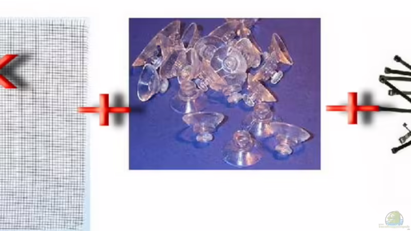 Eigenbau einer Moosrückwand -eine Alternative zu 3-D-Rückwänden