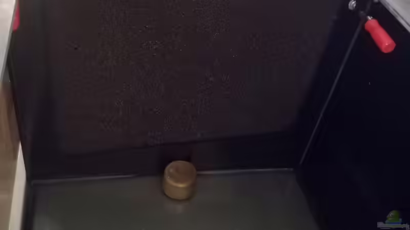 Eigenbau-HMF mithilfe von PVC-Platten u. Aquariumsilikon von Niederbayer_Andee (14)