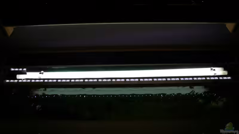 Eigenbau LED Schlauch + T5 von unten von Susanne Axt (11)