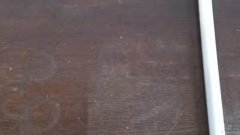 Eigenbau Luftheber. von raubsau (140)