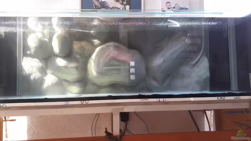 Eigenbau Rückwand  von Daniel Hausener (2)