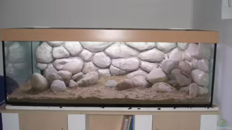 Eigenbau-Rückwand eingeklebt von Sandro Wiery (5)