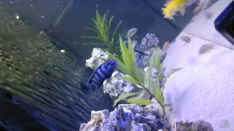 Eigenbaurückwand mit Steinaufbauten von Sebastian Wolff (4)