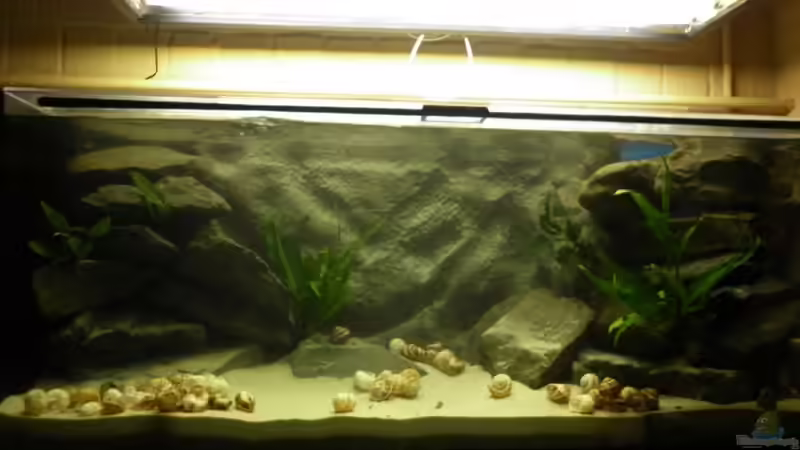 eigenlob stinkt zwar aber ich bin stolz :-D von Julien Preuß (41)