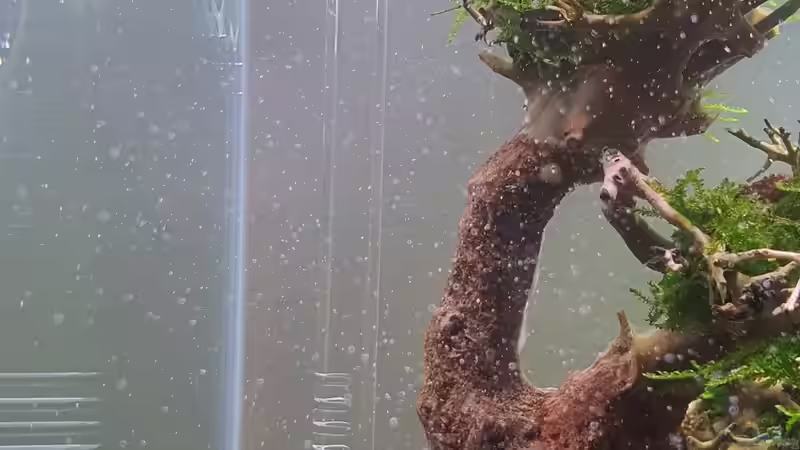 Ein / Auslauf Glas von Marco B. (29)